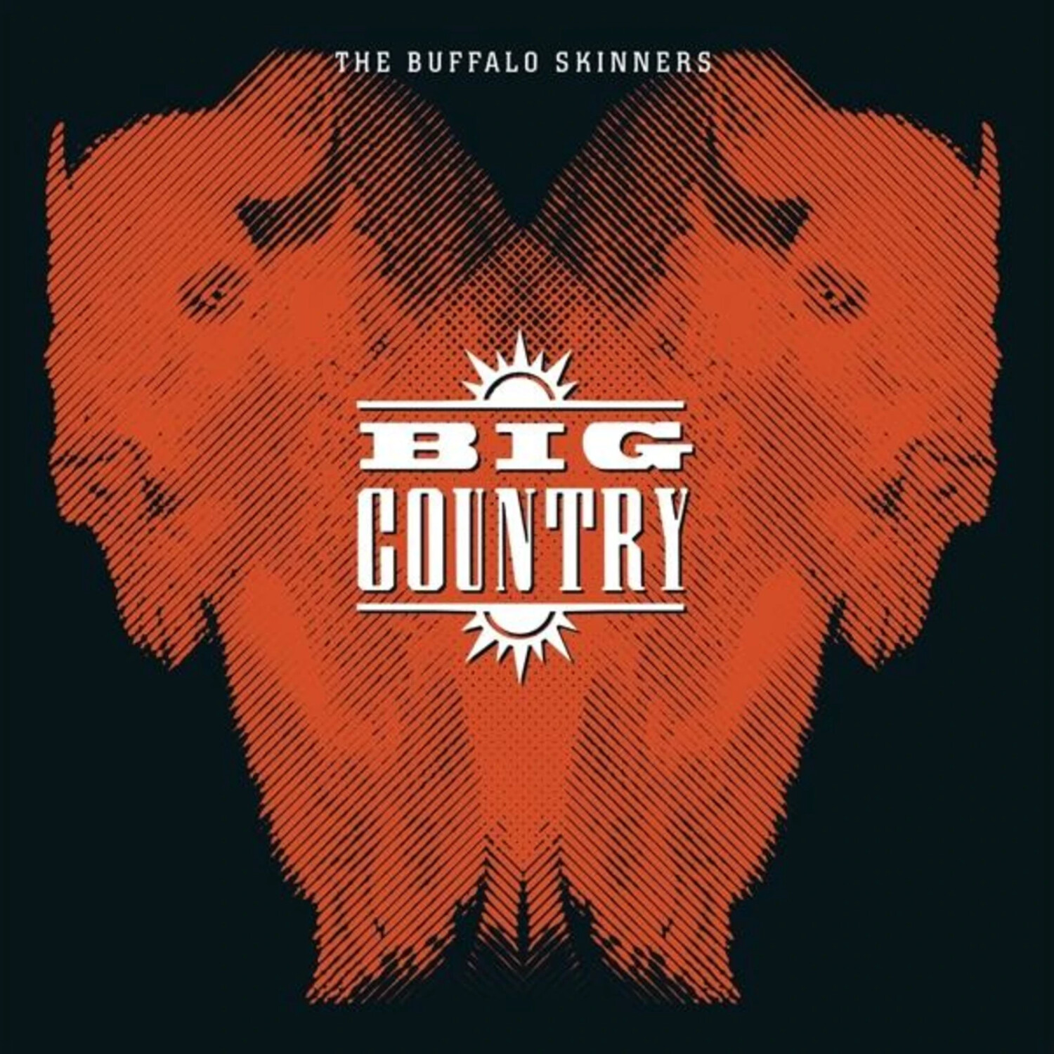 Big Country - BUFFALO SKINNERS (Vinyl)