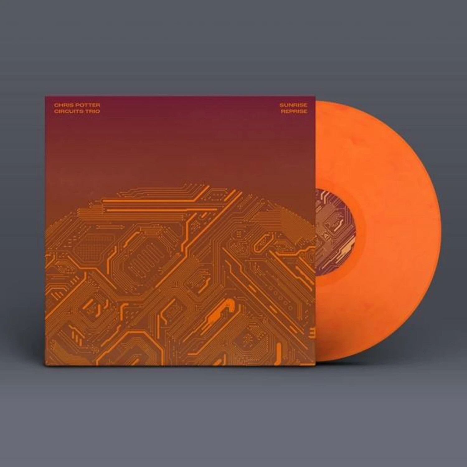 Potter Chris - Sunrise Reprise (Vinyl)