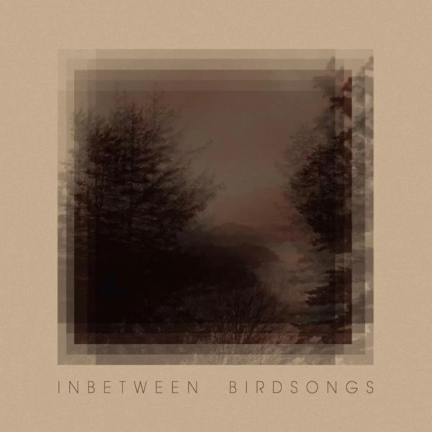 Matthias Gusset - Inbetween Birdsongs (Vinyl)