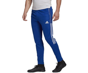 entrega Federal rebanada Adidas Football Tiro 21 Training Pants Tiro 21 (GJ9870) Team blue desde  32,39 € | Compara precios en idealo