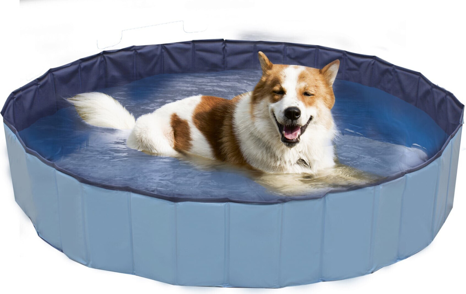 Croci Dog Pool Explorer 160x30cm
