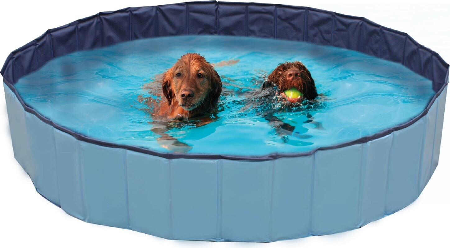 Croci Dog Pool Explorer 120x30cm