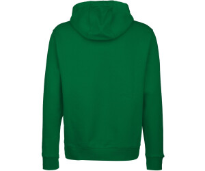 Nike Park 20 Fleece Hoodie CW6894 pine green white white ab 30