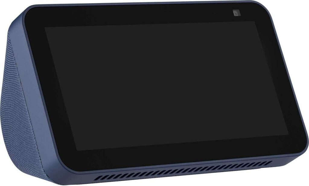 echo show 5 google home