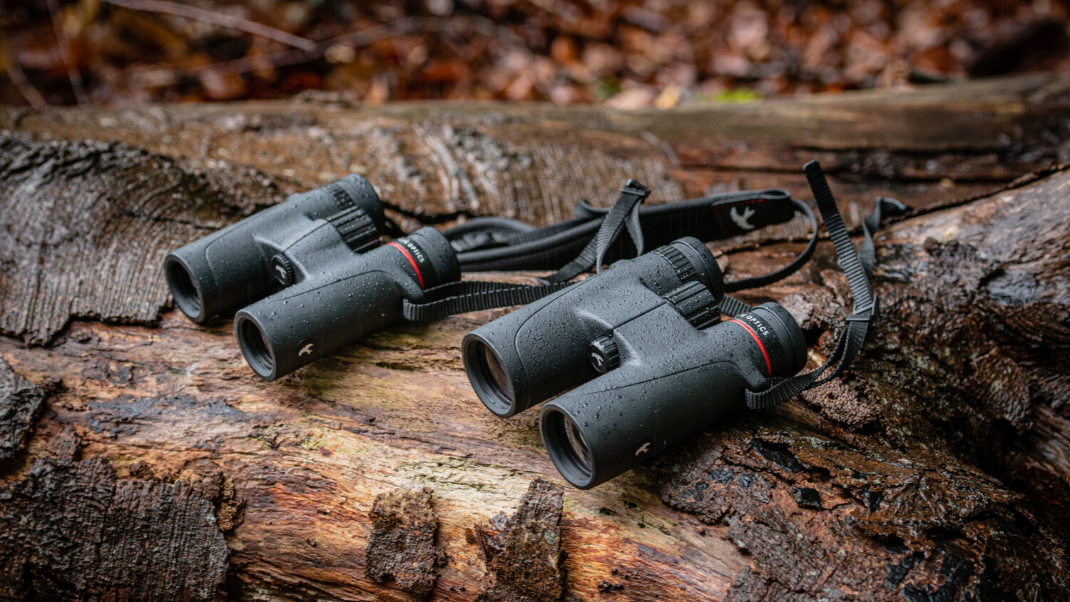 Kite Optics Falco 10x42