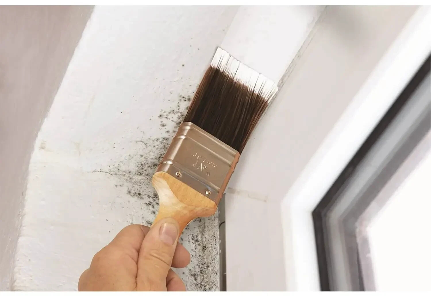 Buy Ronseal Anti Mould Paint Matt 750ml from 16.55 Today Best