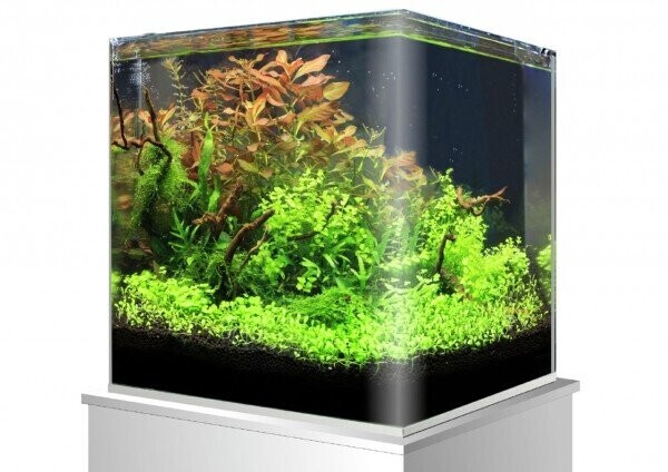 Amtra Nanotank 45x45x45cm