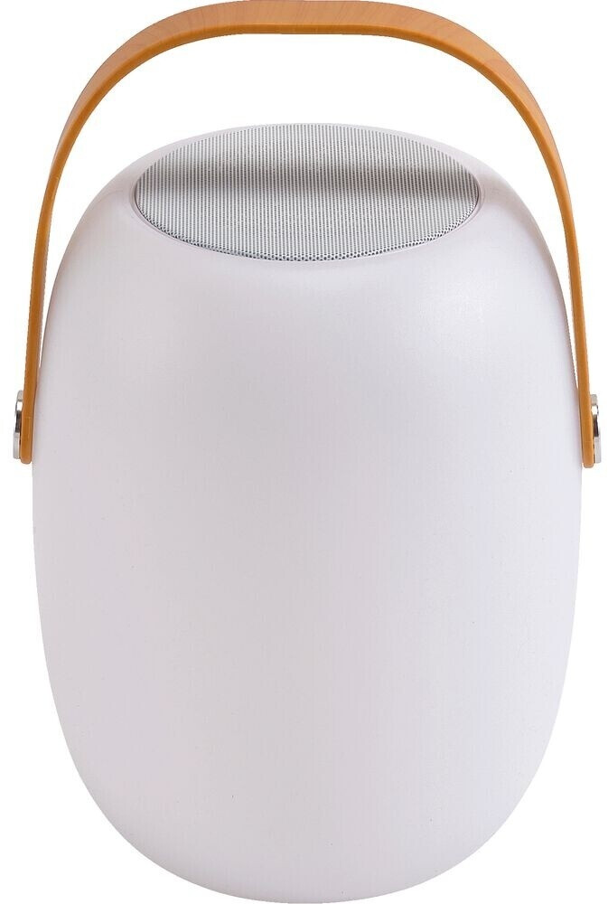 Lumineo Garden Light with Speaker (2950100504)