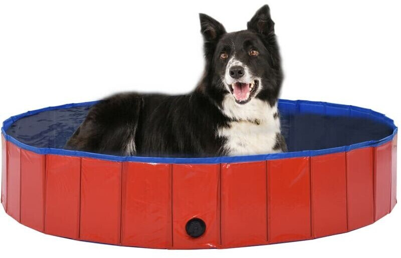 vidaXL Foldable Doggy Pool 160x30cm Red