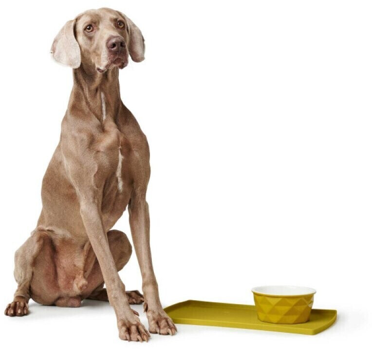 HUNTER Support gamelle Yellow HUNTER Support gamelle Yellow