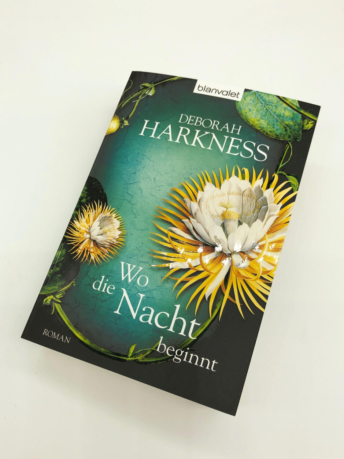 Wo die Nacht beginnt (Deborah Harkness)
