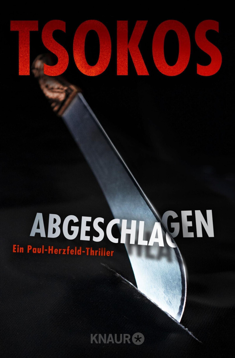 Abgeschlagen (Michael Tsokos)