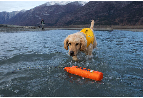 Ruffwear Gilet de sauvetage pour chien Wave Orange L 81-91cm Ruffwear Gilet de sauvetage pour chien Wave Orange L 81-91cm