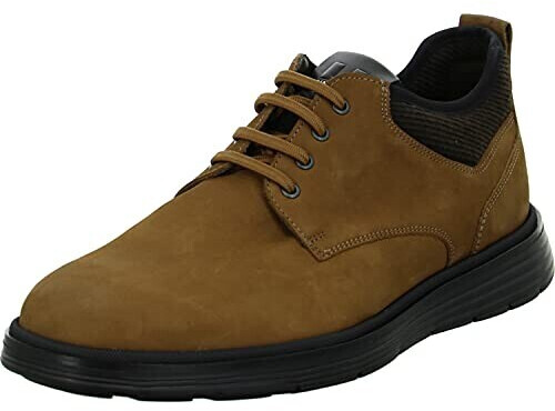 LLOYD Arkadia (21-581-28) cigar brown