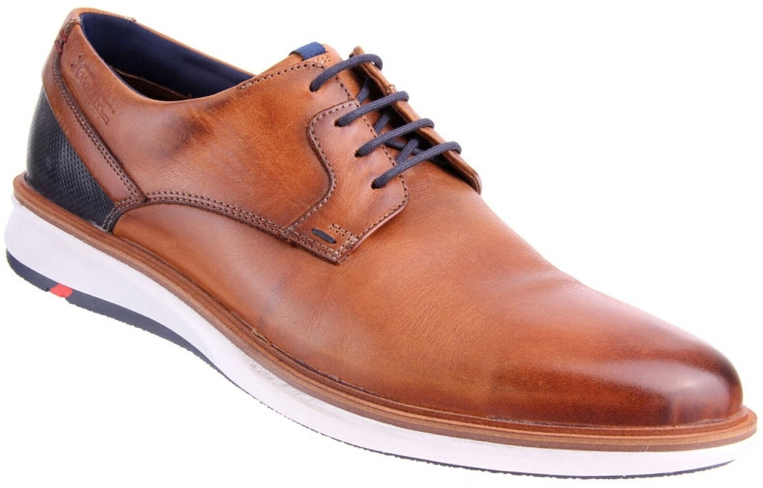 LLOYD Milano (10-207-1) whiskey/midnight