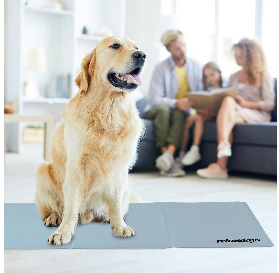 Relaxdays Tapis rafraîchissant pour chien 100x60cm Grey Relaxdays Tapis rafraîchissant pour chien 100x60cm Grey