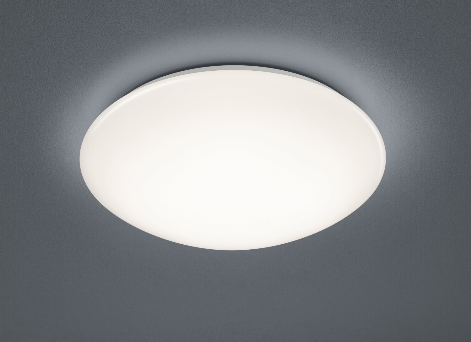 Trio R67831101