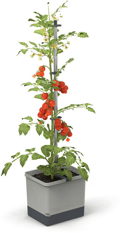 Gusta Garden 100610