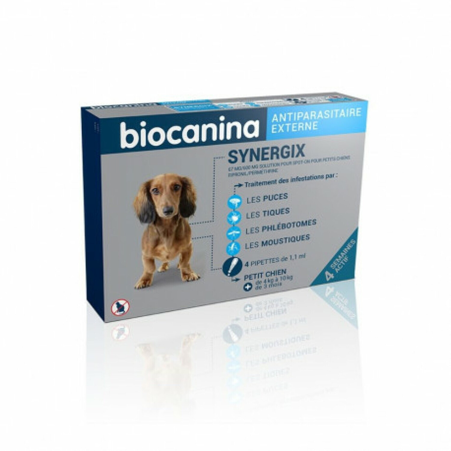 Biocanina Synergix petit chien 4-10 kg 4 pipettes