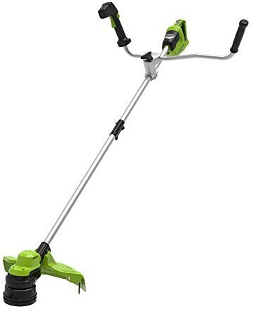 Greenworks 2in1 (GD24X2BCB)