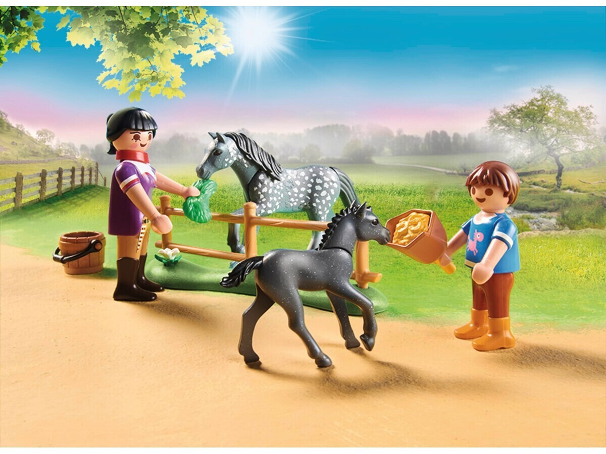 Cheapest playmobil hotsell