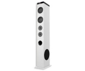 Altavoz torre TWS karaoke, 500w, incluye mando a distancia y 2 Micr