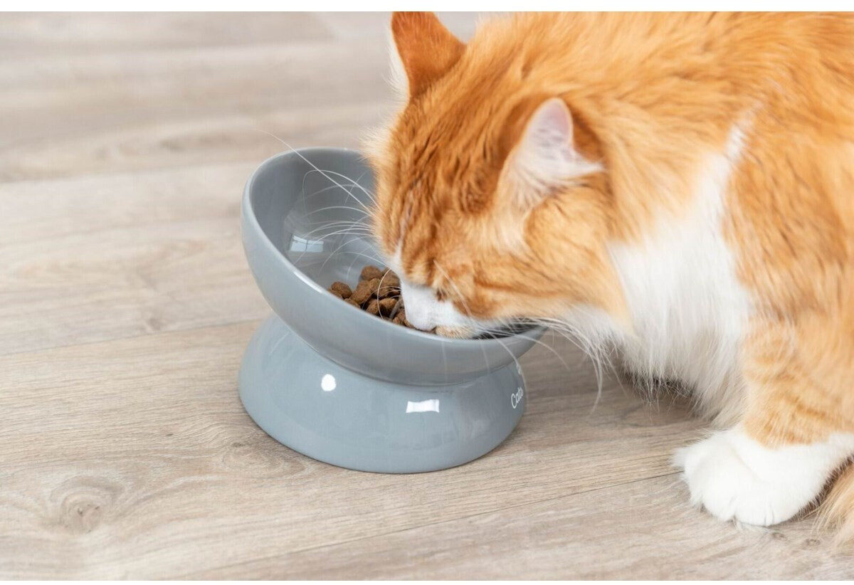 LE SERVETA Erhöhter Katzennapf Aus Keramik – Geneigt, Rutschfest, Für Katzen & Kleine Hunde, Weiß