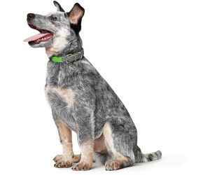 wasser- und schmutzabweisendes Hundehalsband für Hundetraining HUNTER CONVENIENCE COMFORT gepolstertes Jagd und Freizeit
