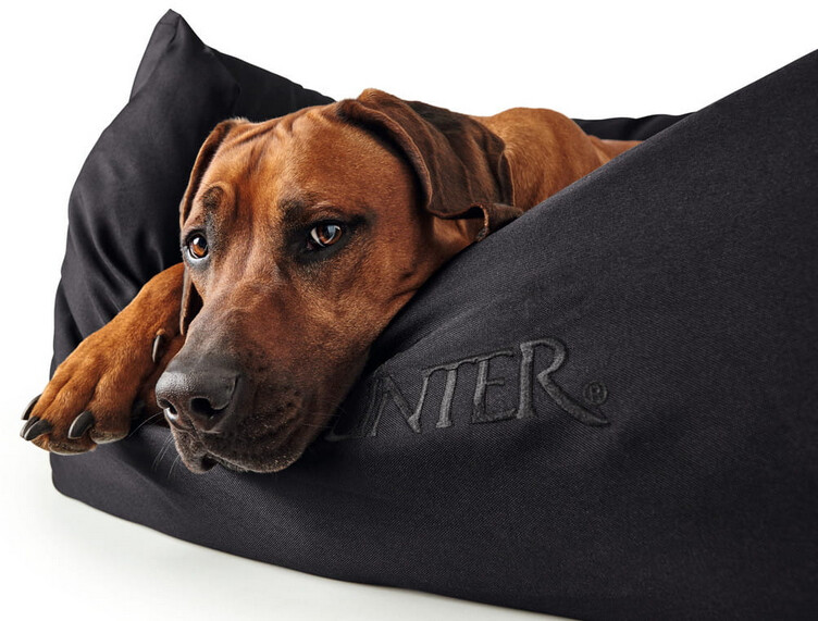 HUNTER Lit pour chien M 80 x 60 cm Black HUNTER Lit pour chien M 80 x 60 cm Black
