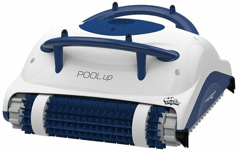 Dolphin Pool up