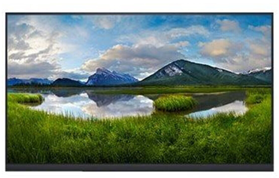 Dell P2422HEWO