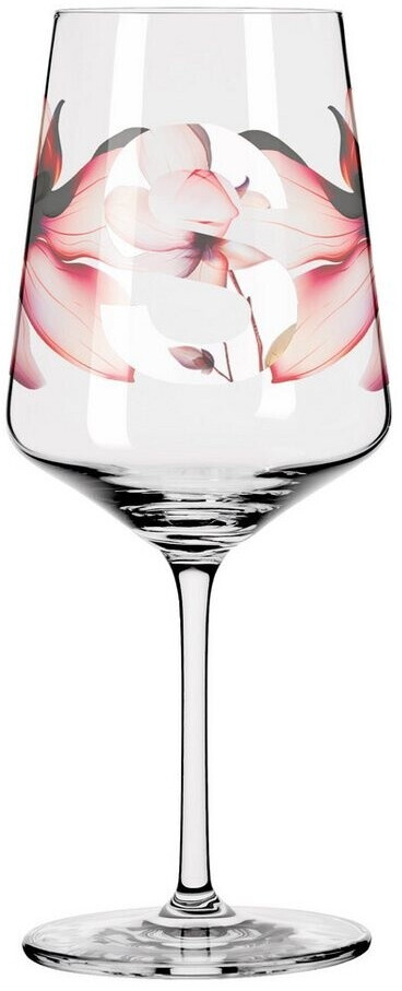 Verres à Vin Syrah Villa D’Este - Lot De 6 Verres En Verre Décor Arabesqué - 235 Ml - Lavables Lave-Vaisselle - 12