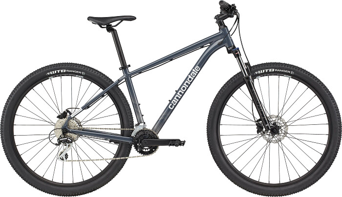 Cannondale Trail 6 (2021) 29 slate gray