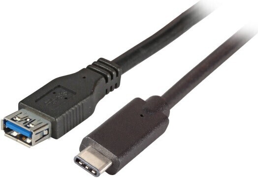 Photos - Cable (video, audio, USB) EFB-Elektronik EFB ELEKTRONIK EFB Elektronik K5313SW.0,2 
