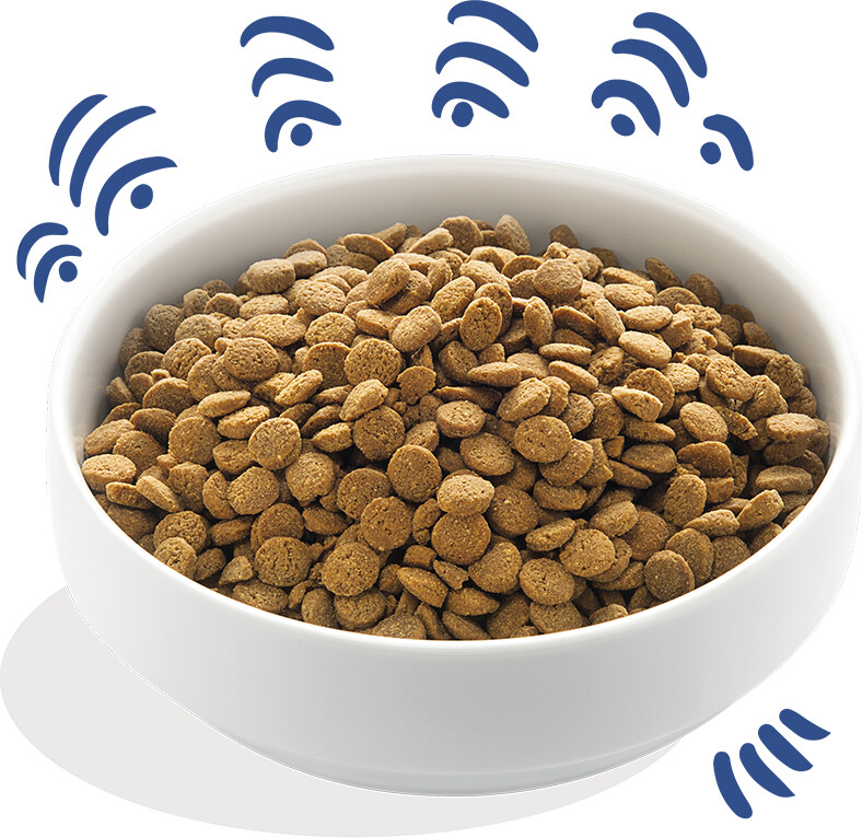 Edgard & Cooper Croquettes pour chien 12kg Edgard & Cooper Croquettes pour chien 12kg
