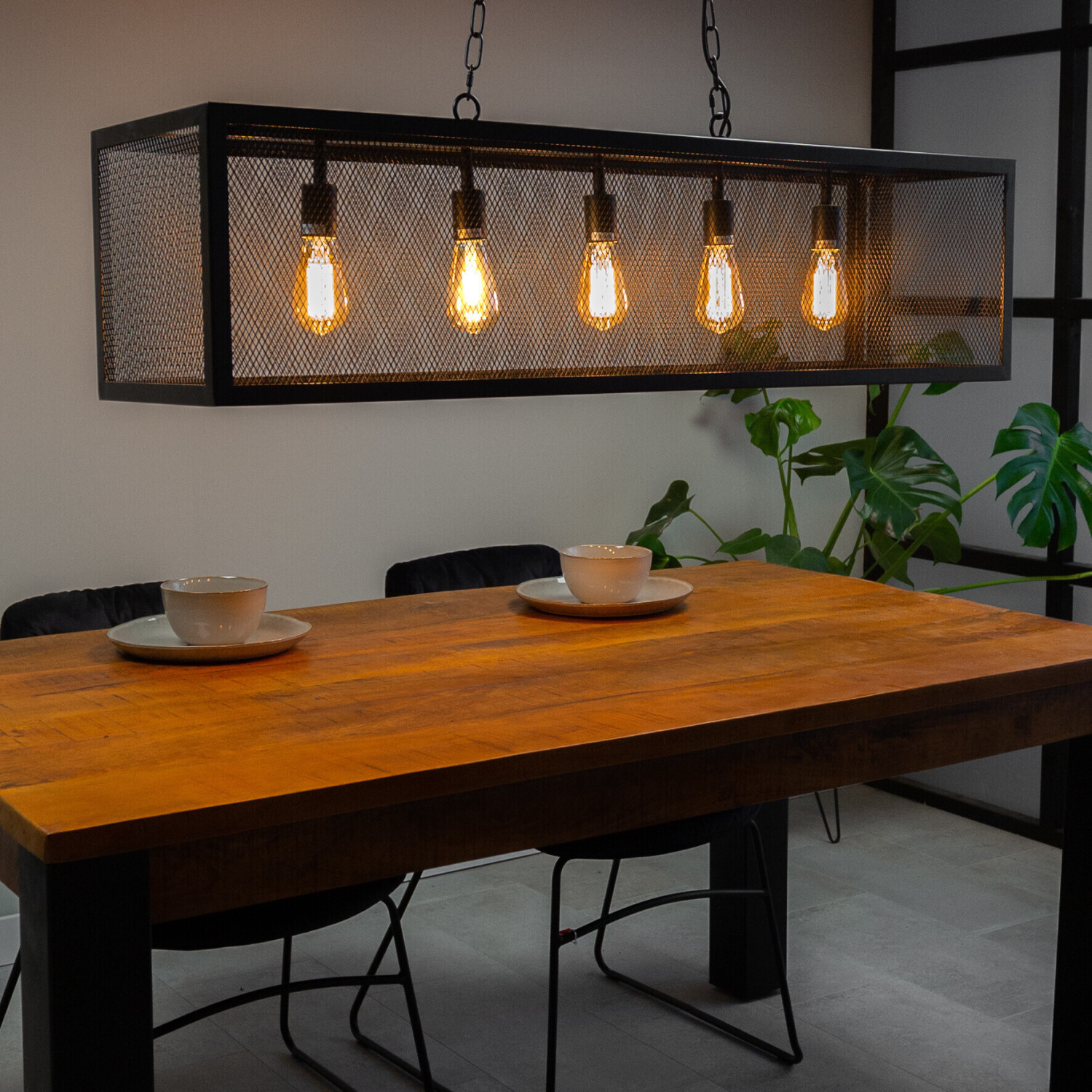 Dimehouse Suspension Sucre 5 ampoules