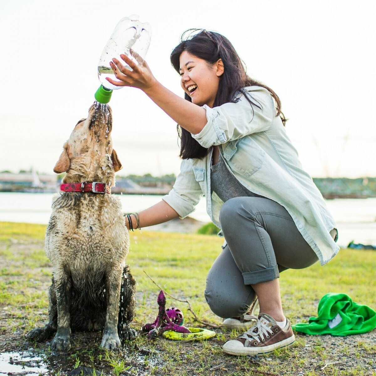 Kurgo Gourde pour chien