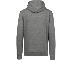 Hoodie champion grey new arrivals