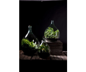 Esschert Design Open terrarium fles S 3L 16x16x30 cm groen