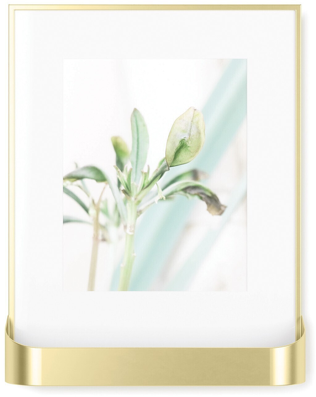 Umbra Matinee 20x25 Gold