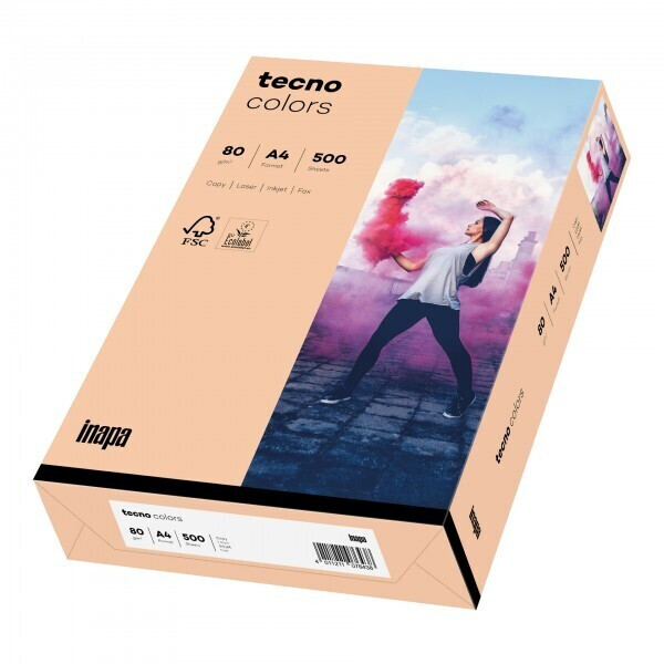 inapa tecno color A3 80g lachs