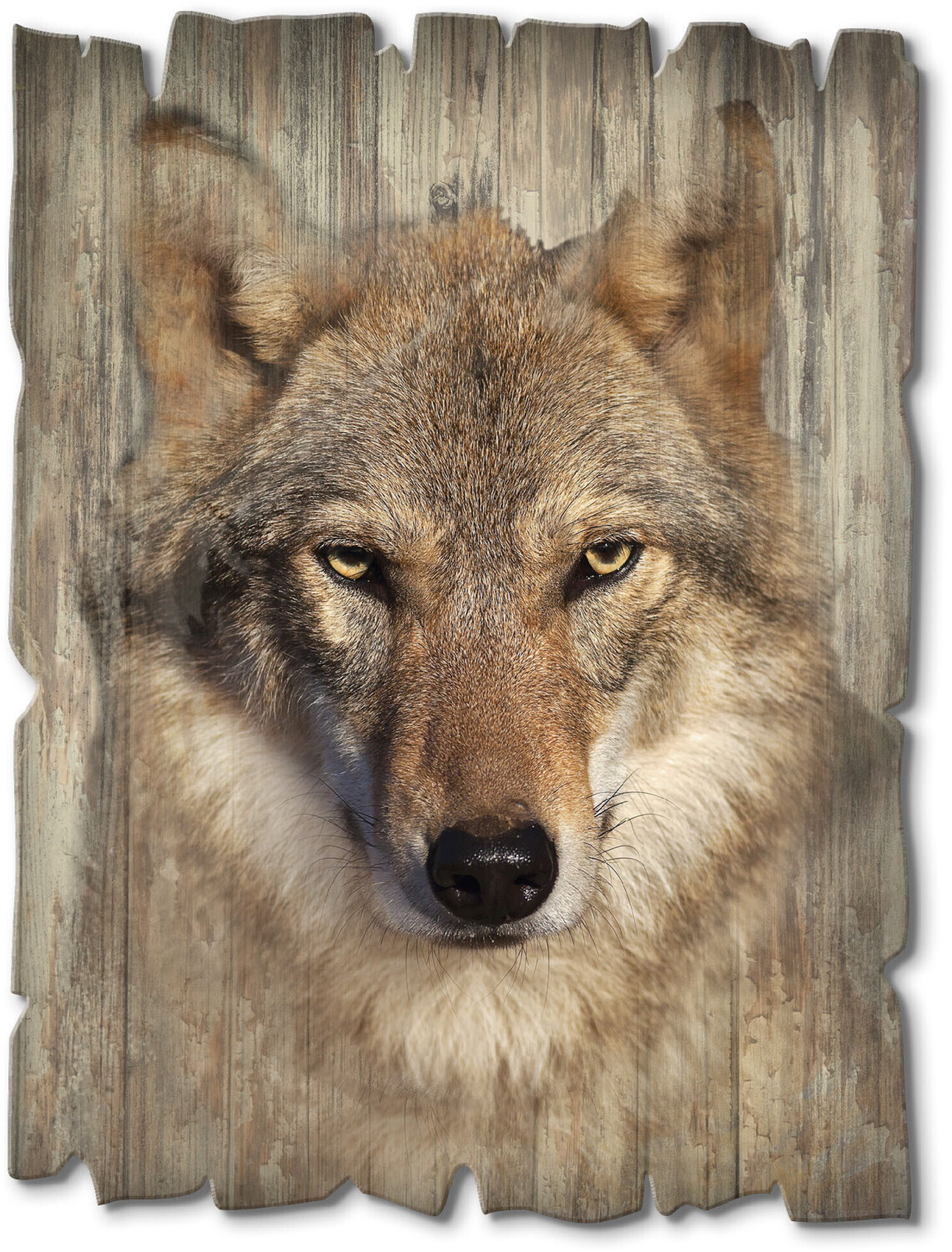 Wolf Holzbild Art-Land bei Wildtiere € 30x40 cm | 25,11 ab braun Preisvergleich