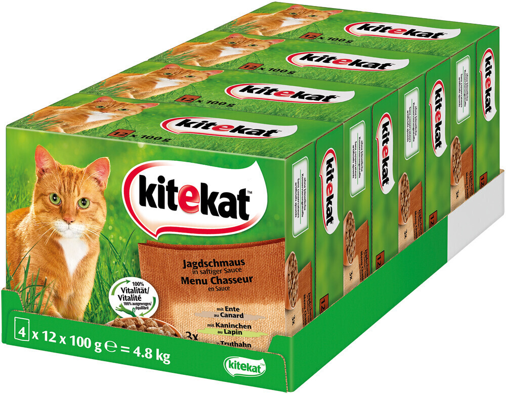 Kitekat Hunting east in Sauce