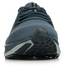 pegasus 38 thunder blue