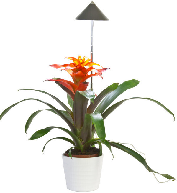 Venso Parus Sunlite LED 7W