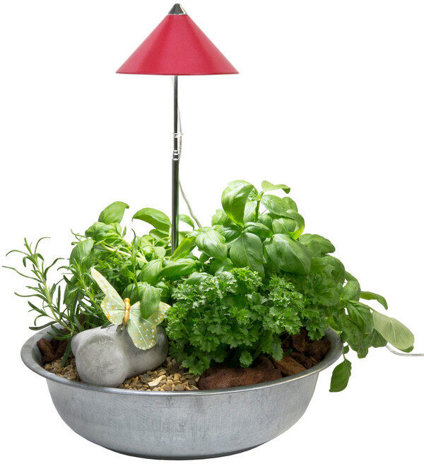 Venso Parus Sunlite LED 7W Red