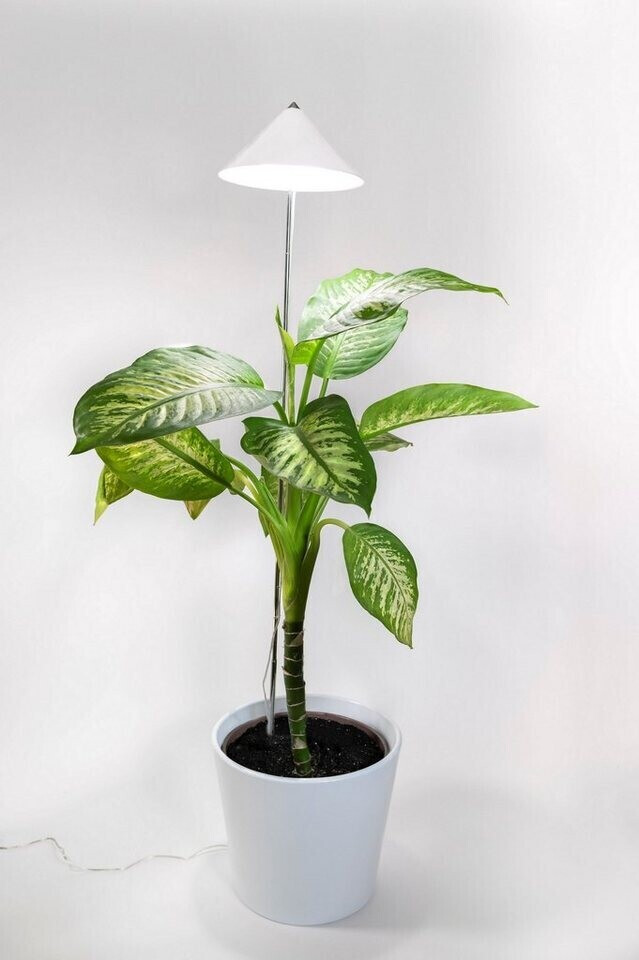 Venso Parus Sunlite XL 25W White