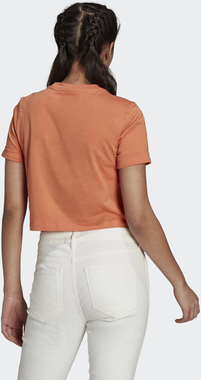 T-Shirts adidas Adicolor Classics Roll-Up Sleeve Crop Top Hazy Emerald