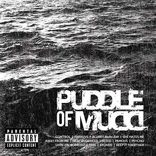 Puddle of Mudd - Icon (CD)