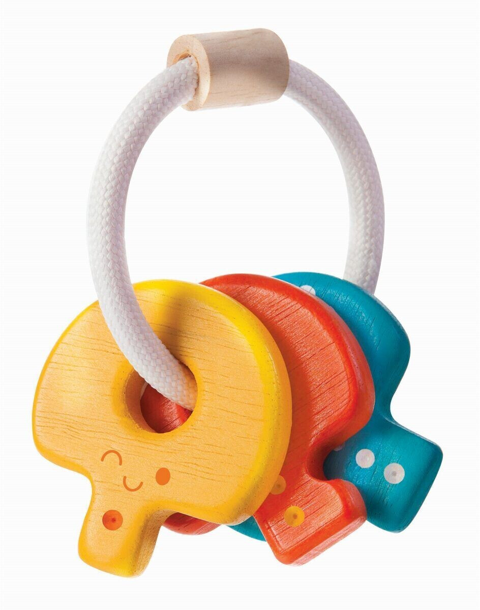 Plan Toys 50005217